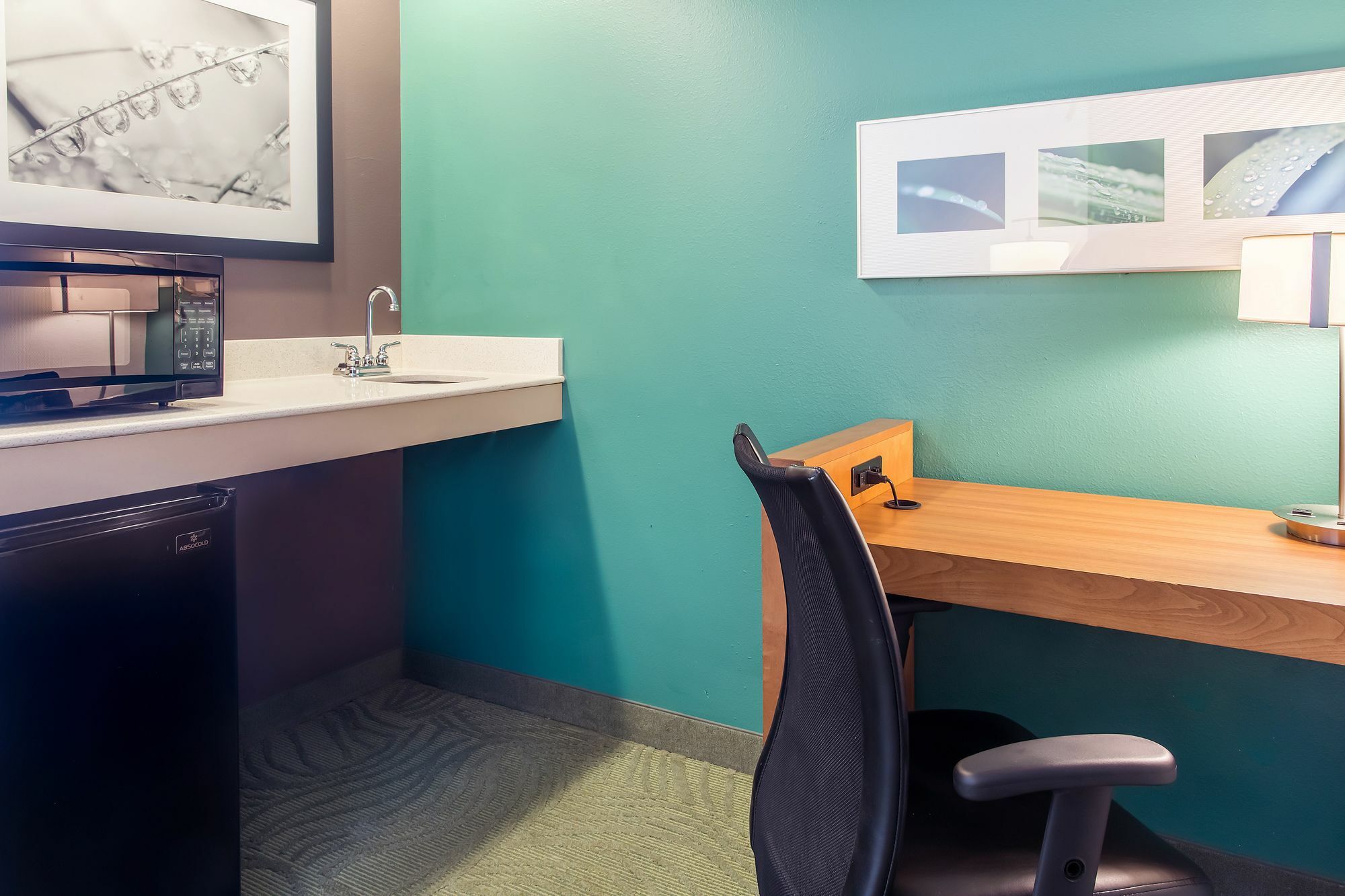 Springhill Suites By Marriott Memphis East Galleria Exteriér fotografie
